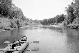 ПО ЧЕРЕМШАНУ – ЗА РЕДКИМИ ВИДАМИ