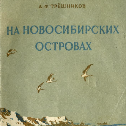 На Новосибирских островах