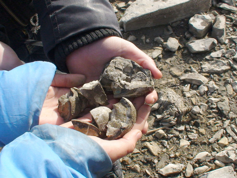 «Тропой П.М. Языкова». Экскурсии по Ульяновской области «Тропой П.М. Языкова». Экскурсии по Ульяновской области
