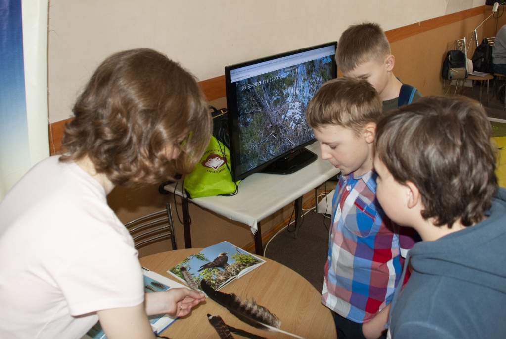 ФП_2019_Ул_Солнечный-орел_002.jpg ФП_2019_Ул_Солнечный-орел_002.jpg