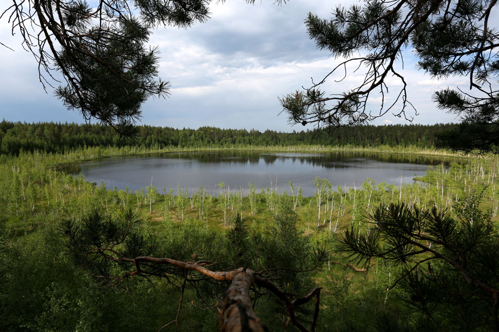 Экспедиция "Озеро Светлое" Экспедиция "Озеро Светлое"