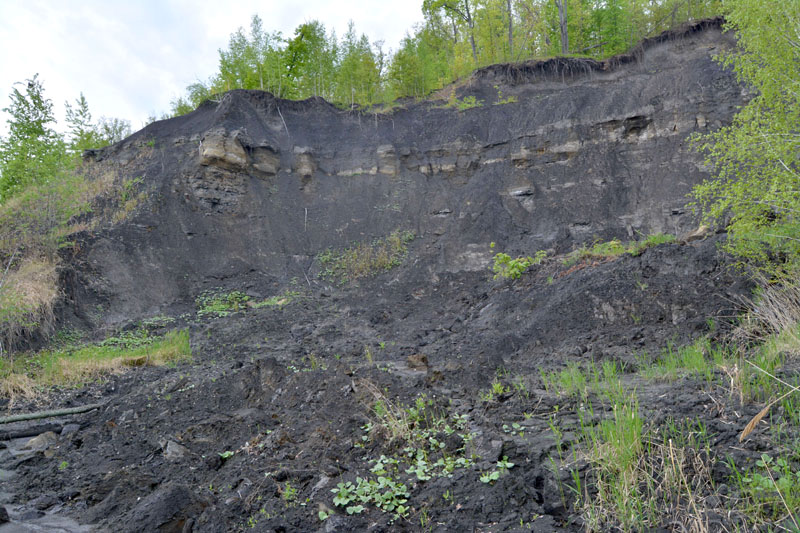 «Долина кристаллов». Экскурсии по Ульяновской области «Долина кристаллов». Экскурсии по Ульяновской области