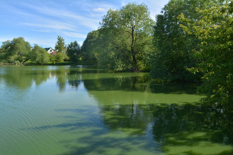 «Курорт Ундоры». Экскурсии по Ульяновской области «Курорт Ундоры». Экскурсии по Ульяновской области