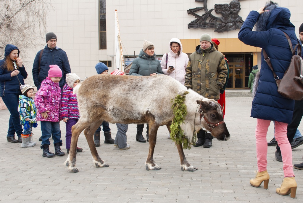 ФП_2019_Ул_Олень_001.jpg ФП_2019_Ул_Олень_001.jpg
