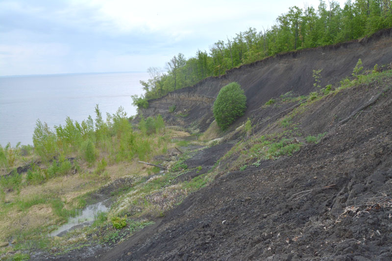 «Долина кристаллов». Экскурсии по Ульяновской области «Долина кристаллов». Экскурсии по Ульяновской области