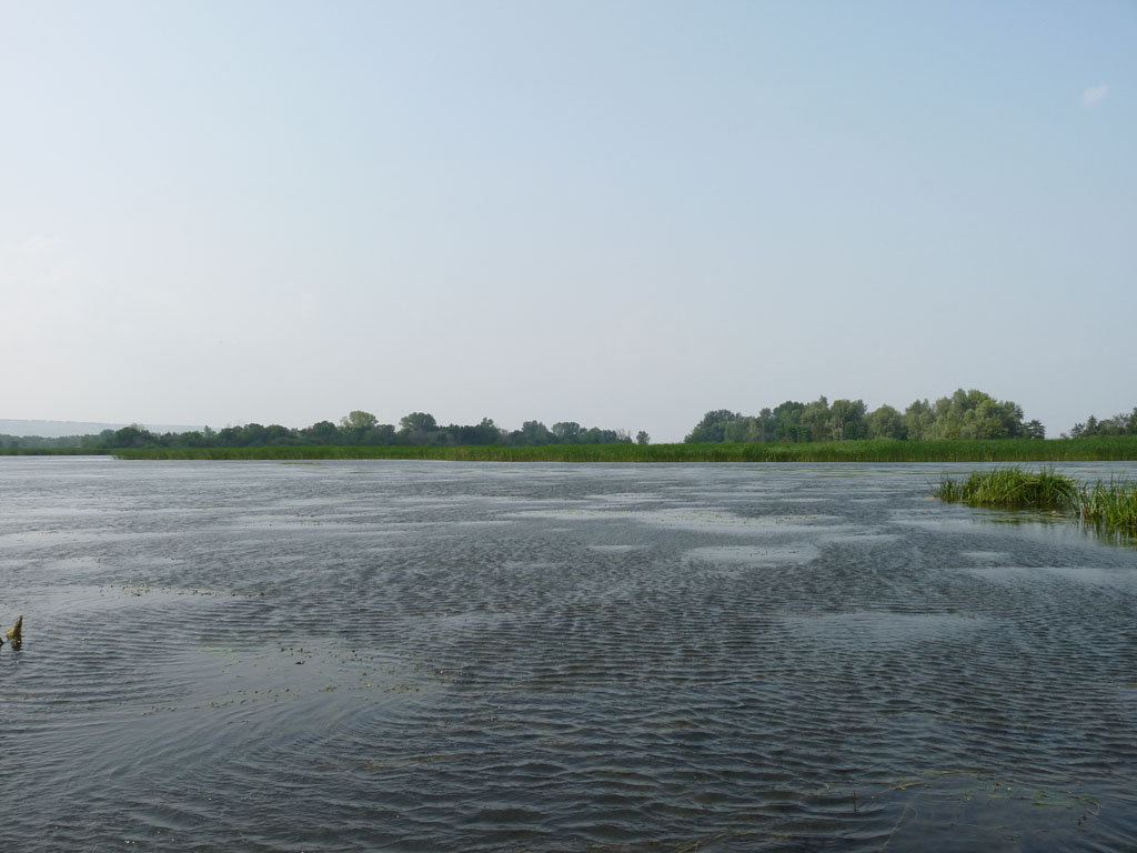 Экспедиция "По Волжским островам" Экспедиция "По Волжским островам"