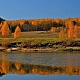 СЕНГИЛЕЕВСКИЙ РАЙОН.Камиль Багаутдинов.Смородино.jpg