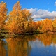 Дендропарк-2