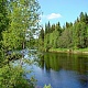 СТАРОМАЙНСКИЙ РАЙОН.Игорь Долгов.Красная речка.jpg