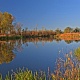 Арбуга
