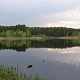 МОРДОВИЯ. Станислав Кушманцев. Озеро Гусиное