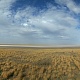 АСТРАХАНСКАЯ ОБЛАСТЬ.Кузнецов Максим.Степь