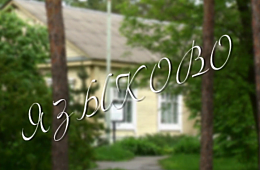 Дмитрий Илюшин. Языково (проект "Правдивые истории", 2016г.)