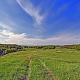 УЛЬЯНОВСКИЙ РАЙОН.Летний день.Камиль Багаутдинов.jpg