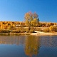 Смородино
