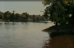 Анатолий Хижняк. "Амазония - Земля неведомая" (1995г.)