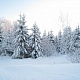 Номинация - Моя Россия. Ангелина Трифонова. Без названия