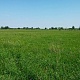 Номинация - Природа Родного края. Гузель Галимова. Без названия