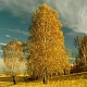 Сентябрь