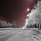 Тихий проспект